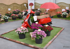 Zoals iedere Flowertails worden er bijzondere voertuigen tentoongesteld van P. van den Haak.